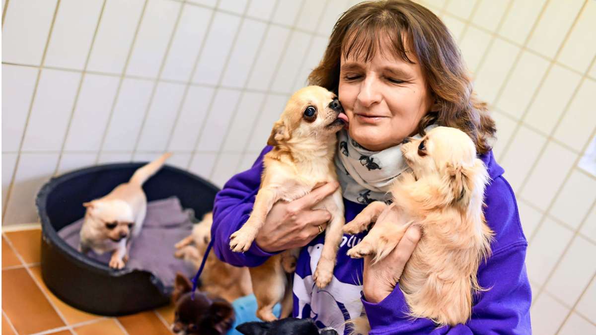 Die Leiterin  des Stuttgarter Tierheims geht in Rente: Ein Herz  für Verlassene