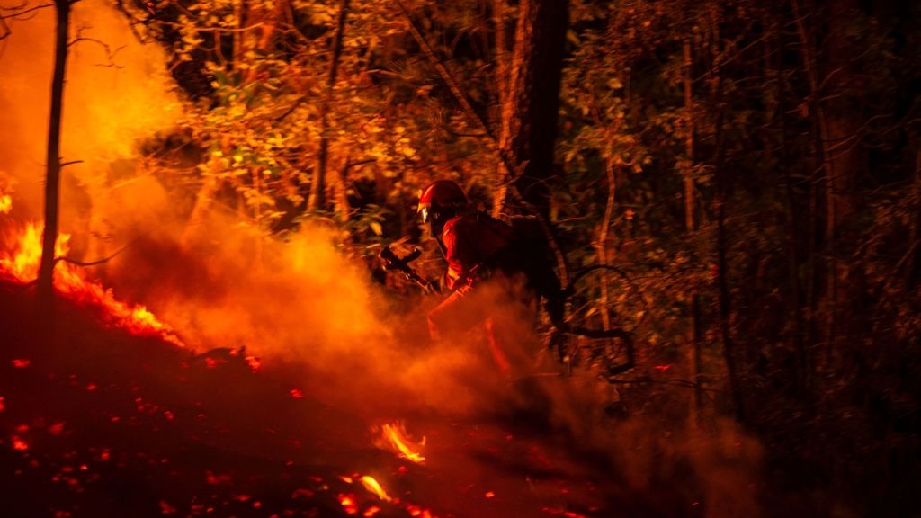 Kampf gegen Flammen: Waldbrände halten Portugal und Spanien in Atem