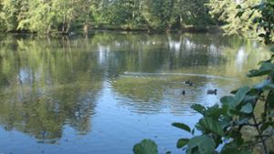 Angler wollen mehr Schlamm aus dem See raus haben
