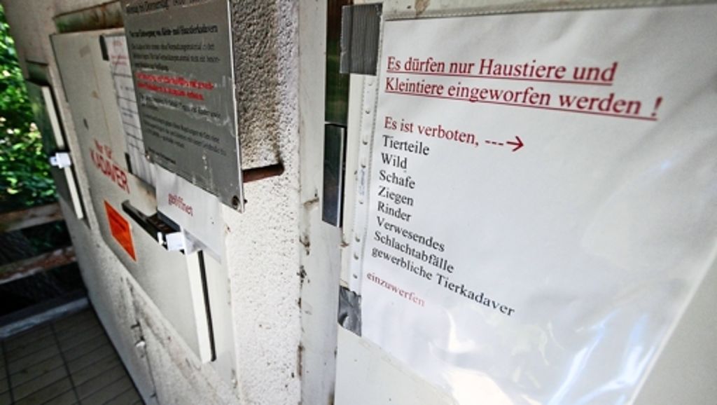 Ludwigsburg: Kein  Friedhof für  Kuscheltiere