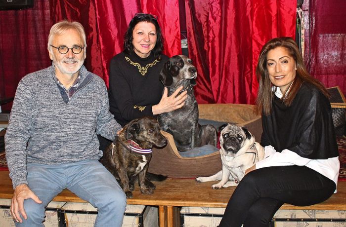 Dieser Verein hilft Tieren in Istanbul