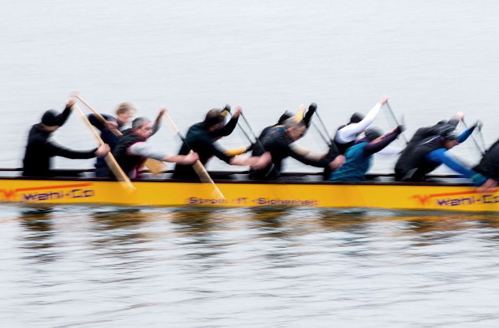 DRACHENBOOT: 15. Drachenboot-Cup am Samstag (11 Uhr) beim Ruderclub Nürtingen 16 Paddler, ein Taktgeber – das Fahren im Drachenboot erfordert gute Gruppendynamik sowie saubere Abstimmung. Der spaßige Mannschaftssport erfreut sich bei Freizeit- und Firmen-Teams seit Jahren großer Beliebtheit. Die 26 Mixed- und die beiden Frauen-Teams paddeln am Samstag von der Nürtinger Wörth-Brücke stromabwärts den Neckar hinunter, das Ziel erreichen sie nach etwa 300 Metern Distanz.