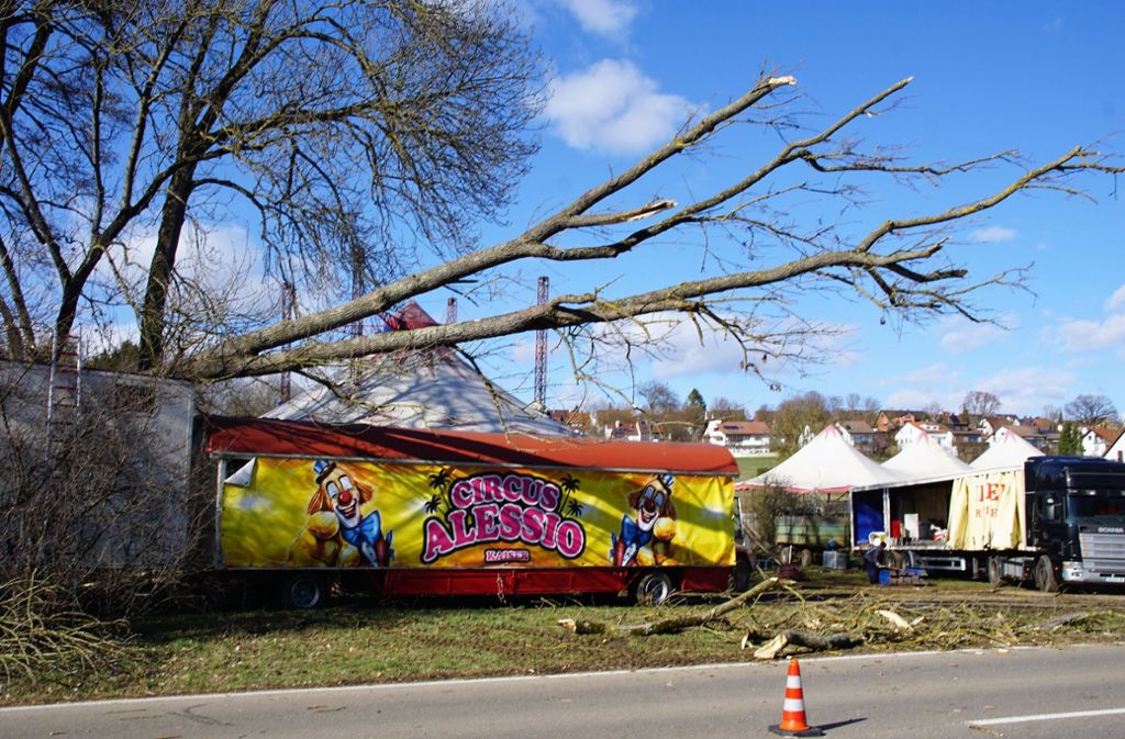 Ein Baum traf einen Tiertransportwagen eines Zirkus’ in Aichtal-Grötzingen.