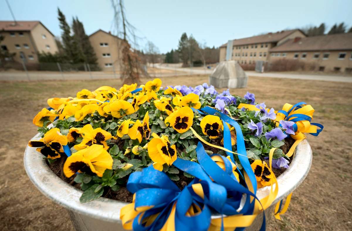 Ein Blumentrog, bepflanzt mit gelben und blauen Stiefmütterchen in den Farben der Ukraine, steht vor Gebäuden der ehemaligen Zollernalb-Kaserne als Empfang.