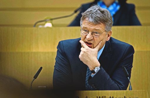Die AfD-Fraktion – hier  Vormann Jörg Meuthen während einer Landtagssitzung  – schweigt zu ihren Mitarbeitern. Foto: dpa