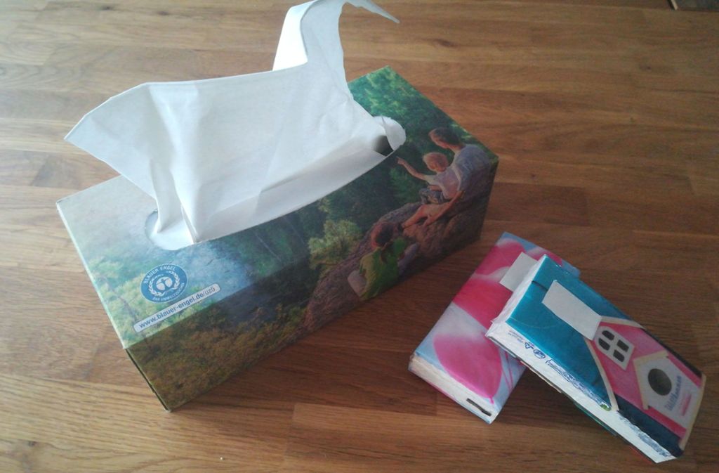 Eine Alternative zu Taschentüchern in Plastikverpackungen hat sich schnell gefunden: eine Spenderbox komplett aus Papier. Die passt zwar nicht in die Handtasche, für den Hausgebrauch überzeugt sie aber.