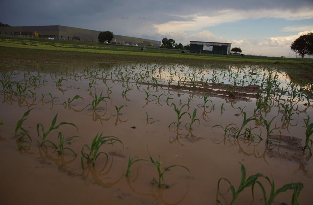 Der starke Regen verursachte Schäden auf Feldern.