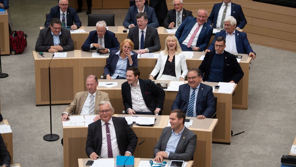 AfD im Landtag: Baden-württembergische AfD will notfalls „Dexit“