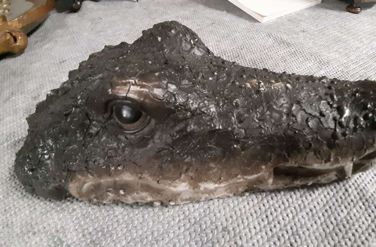 Selbst das „Bürgersee-Krokodil“, das 2019 für Aufsehen sorgte, ist ein Fall für die stadtgeschichtliche Sammlung.