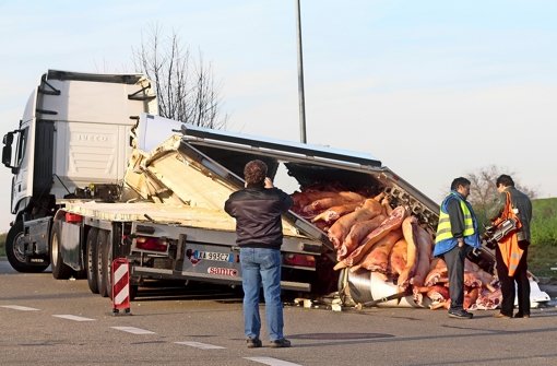 20 Tonnen Schweinehälften liegen auf der Straße bei Hemmingen. Foto: factum/Granville