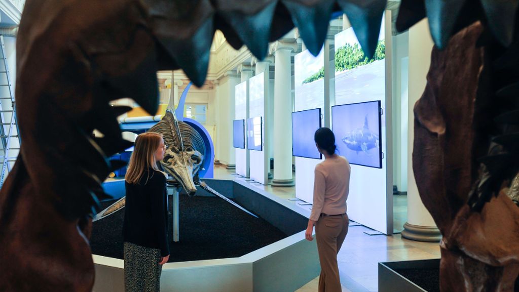  Das Naturkundemuseum bietet im Schloss Rosenstein beeindruckende Einblicke in die Welt der Ozeane und ihrer größten Bewohner. 