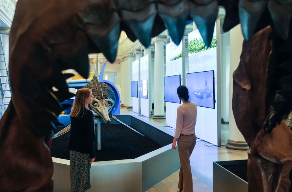 Am Eingang werden die Besucher vom furchteinflößenden Gebiss des urzeitlichen Riesenhais Megalodon begrüßt, dem Topräuber der damaligen Weltmeere.