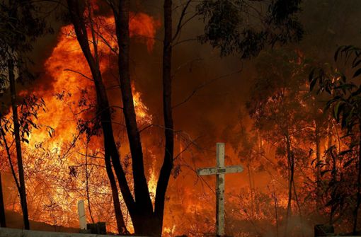 Ein Buschfeuer brennt am Pacific Highway bei Taree, 350 Kilometer nördlich von Sydney. Foto: dpa/Darren Pateman
