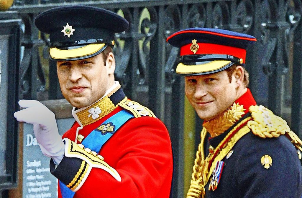 Larcombe schätzt William und Harry für ihren großen Sinn für Humor und weiß, wie sehr die Söhne von Prinz Charles und der verstorbenen Lady Diana damit kämpfen, ihr Leben im Fokus der Öffentlichkeit zu verbringen.
