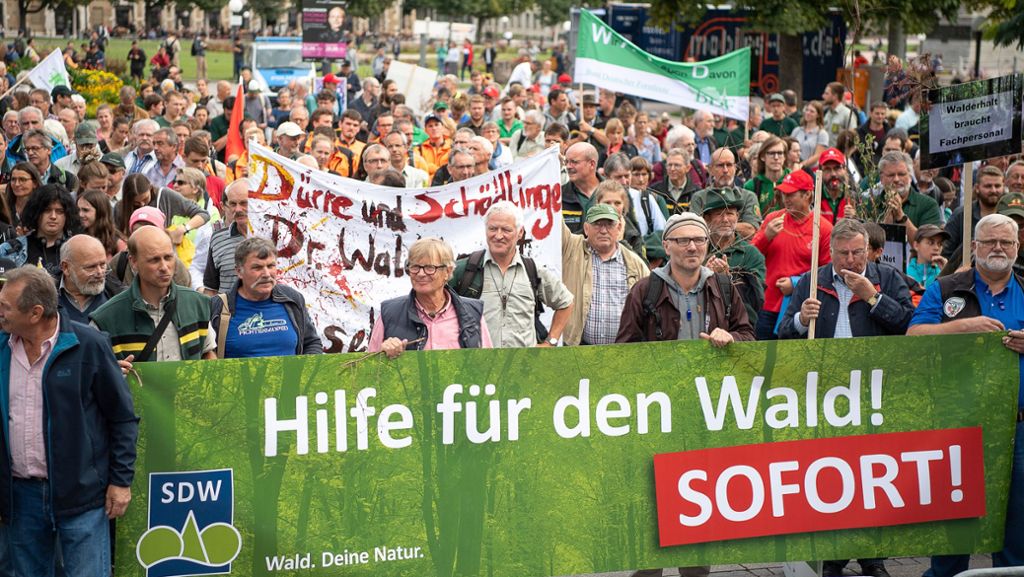 Demonstration in Stuttgart: „Wir müssen den Wald für uns Menschen erhalten“