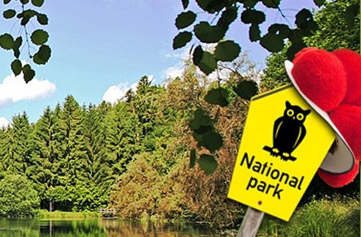 Der Verein Freundeskreis Nationalpark unterstützt  die Einführung eines zehn mal zehn Kilometer großen Großschutzgebietes im  Nordschwarzwald. Foto: StZ