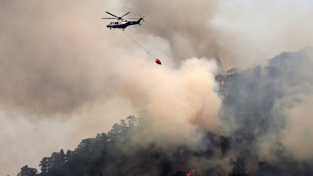 Waldbrand auf Zypern: Mit Löschflugzeugen gegen das Feuer