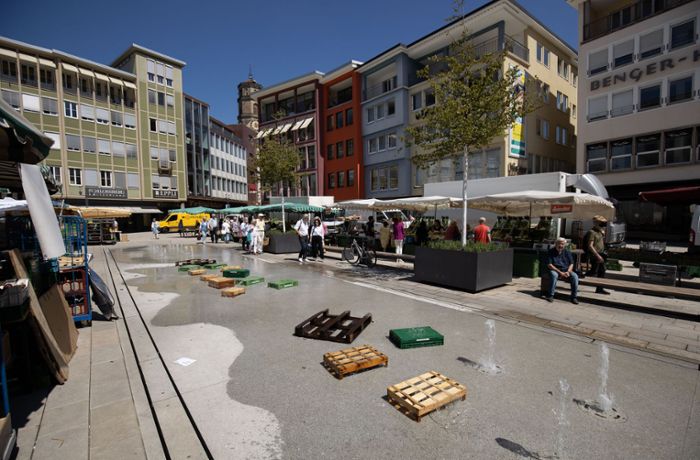 Marktplatz in Stuttgart: Die Bäumchen der Erkenntnis