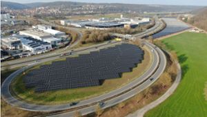 Photovoltaik an der B 27: Stuttgarter Start-up zieht Pilze in größtem Tübinger Solarpark