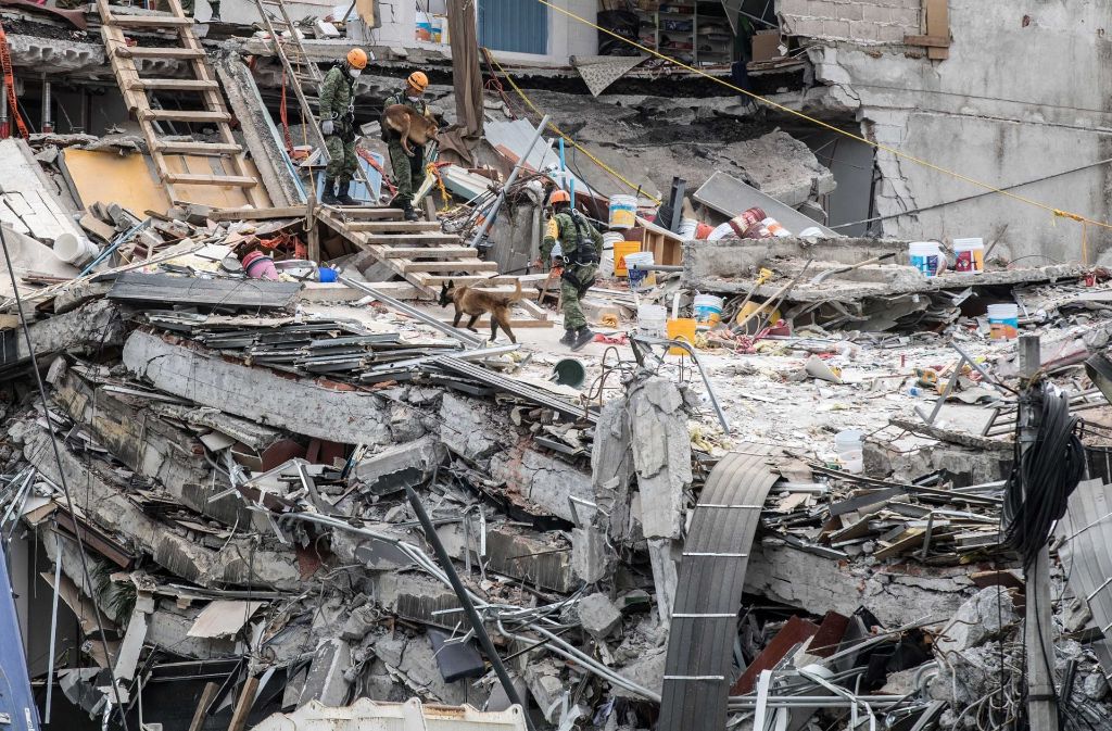 Rettungskräfte suchen in den Trümmern eines Bürogebäudes in Roma Norte, Mexiko-Stadt nach Überlebenden.