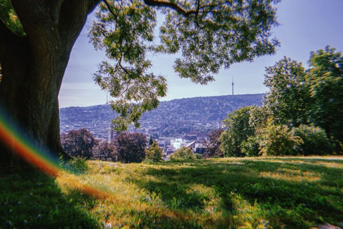 Picknicken in Stuttgart: Die schönsten Picknick-Spots im Kessel