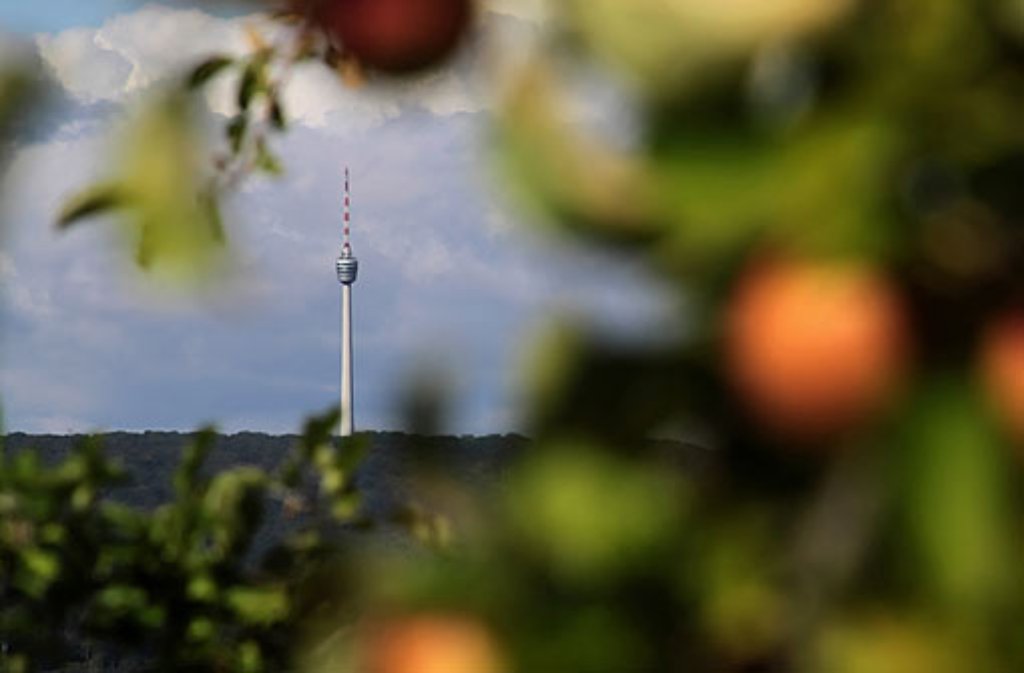 Zwischen Obstbäumen lugt er hervor: Der Fernsehturm von unserem Leserfotografen bdslucky48.