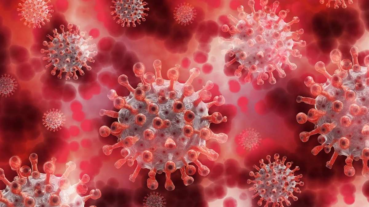 Coronavirus: Der Enzkreis sagt Veranstaltungen ab