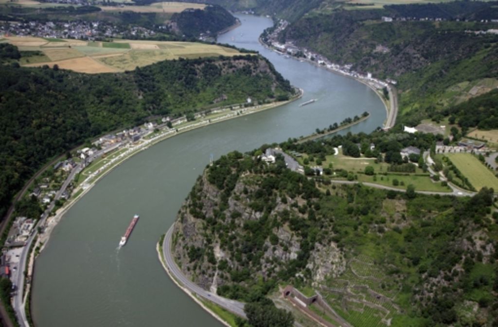 Pechstein kraulte 30 Tage lang im Rhein, insgesamt gut 1200 Kilometer.Foto: dpa Foto:  