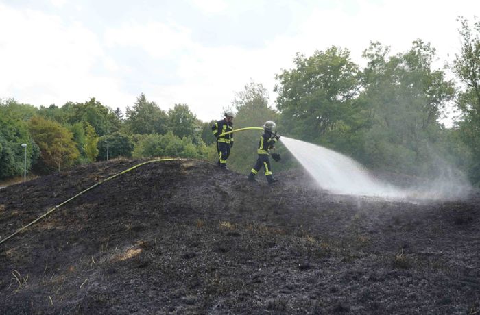 Hitze in Stuttgart: Flächenbrand breitet sich auf großer Wiese aus