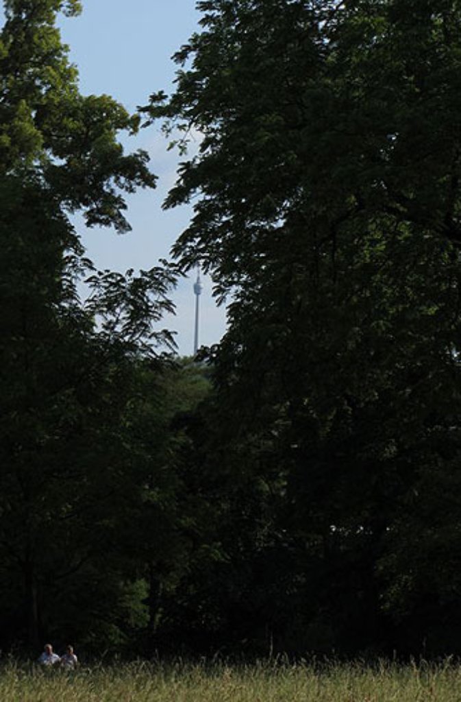 Zwischen den dichten Laubbäumen des Rosensteinparks blitzt der Fernsehturm hevor - Judith Hoch hat ihn dabei erwischt.