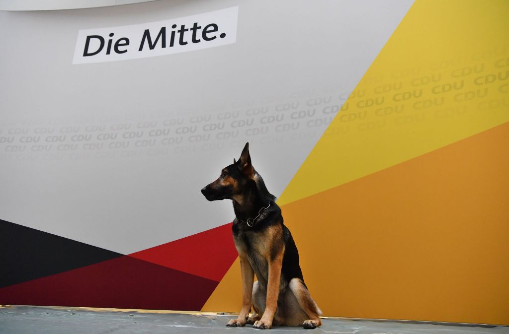 Eine Frage der Sicherheit: Nachdem er mit seinem Herrchen alles nach verdächtigen Gerüchen abgesucht hat, sitzt der Sprengstoffspürhund der Polizei mit Namen „Hector“ in der CDU-Parteizentrale in Berlin auf der Bühne, wo für den Abend der Auftritt von Bundeskanzlerin Angela Merkel stehen geplant ist.