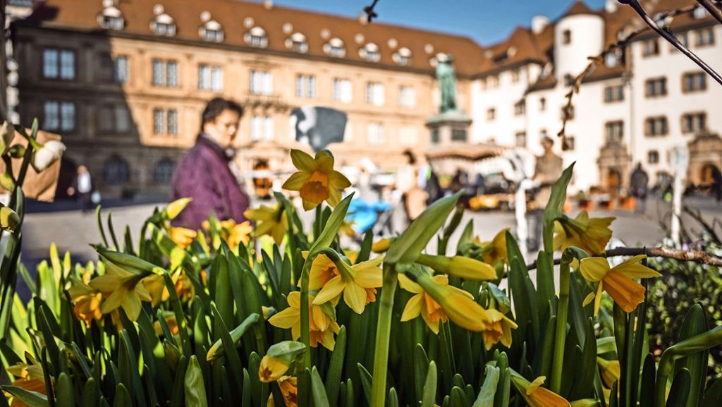 Wetter    in Stuttgart: Frühling schaut  kurz vorbei