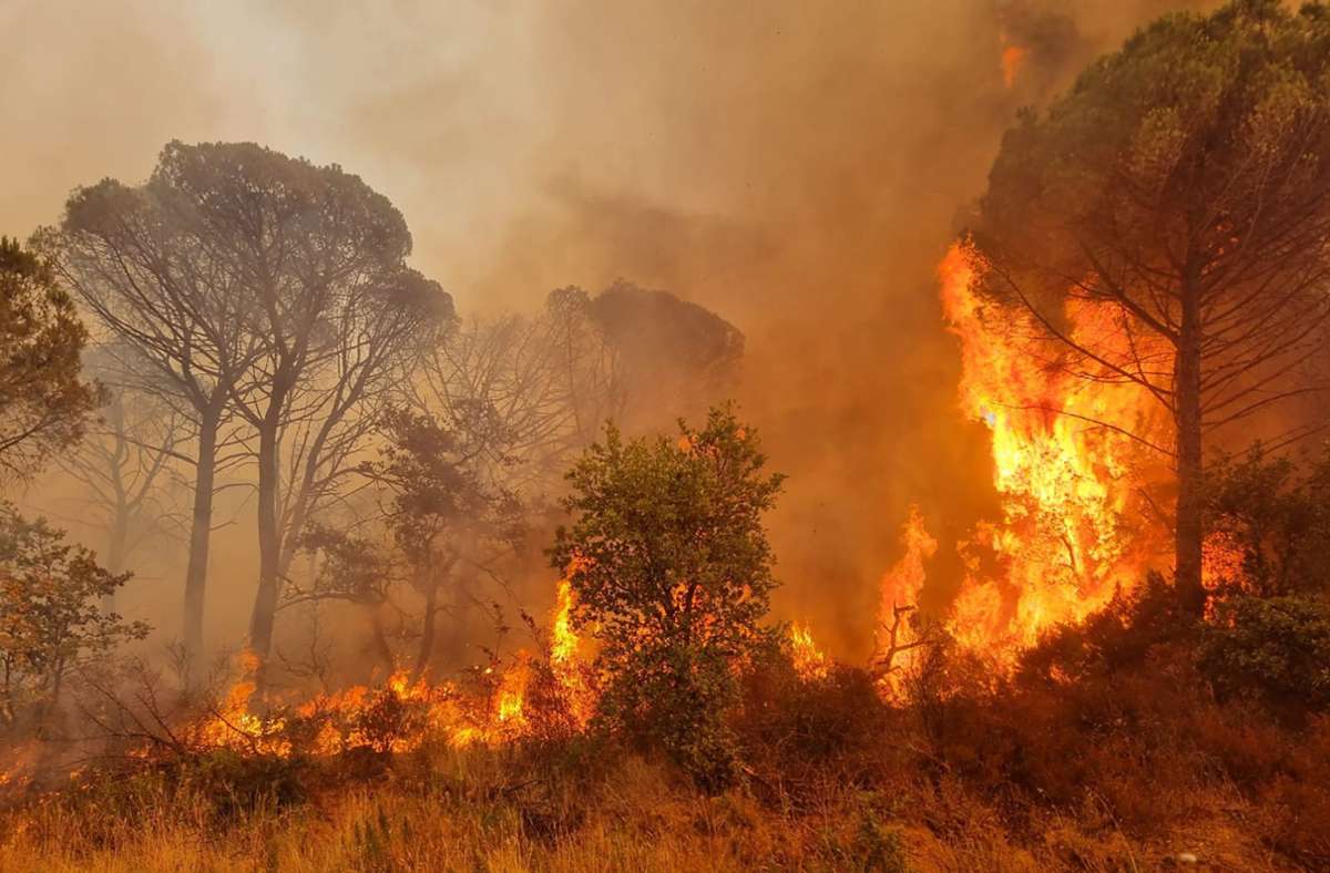 Flammen lodern in einem Waldgebiet während der Waldbrände in der Region Var, Südfrankreich.