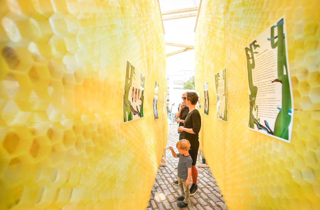 Eine übergroße begehbare Bienenwabe ist noch bis Sonntag, 8. September, hinter dem Stadtmuseum aufgebaut.