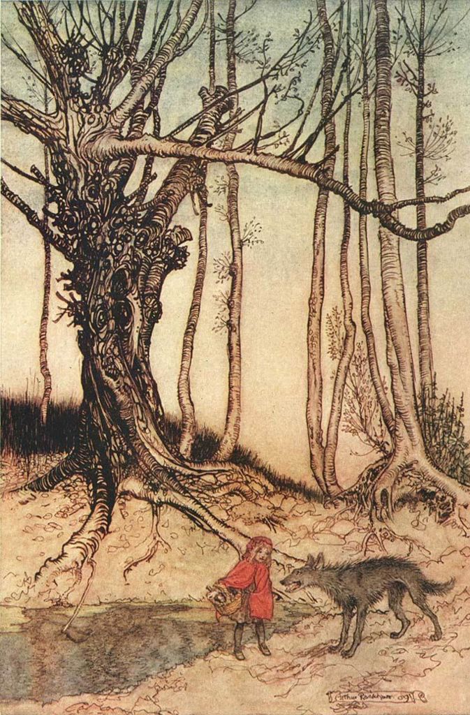 Der Wolf kam näher und sagte: „Guten Tag, Rotkäppchen!“ Sie antwortete höflich: „Guten Tag auch Ihnen, Herr Graubart!“ „Wo soll es denn hingehen, so in aller Frühe, mein liebes Rotkäppchen?“ „Zur alten Großmutter, die nicht wohl ist!“ gab Rotkäppchen zur Antwort (Little Red Riding Hood, Illustration von Arthur Rackham, 1867-1939).