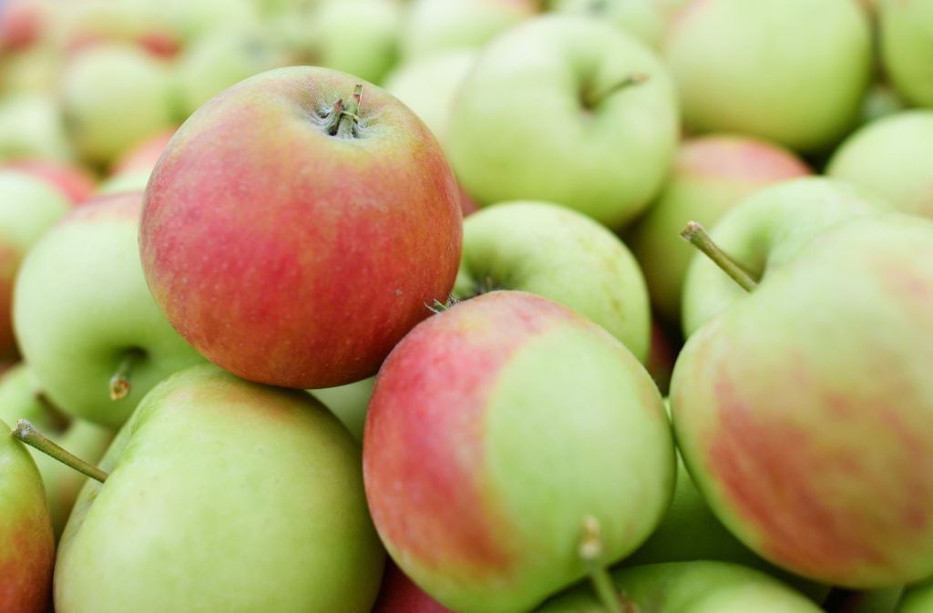 Der größte Platzhirsch ist der Elstar: Nach Angaben des Pressebüros Deutsches Obst und Gemüse macht der feinsäuerliche Apfel 19 Prozent aller bundesweit verkauften Äpfel aus.