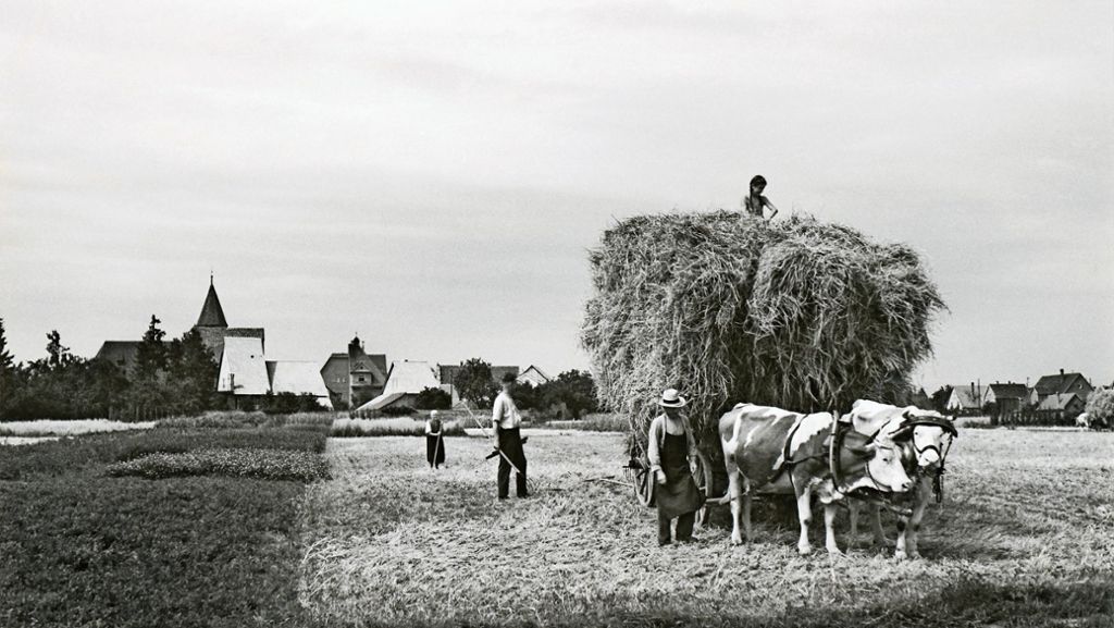 Neuer Band der Ostfilderner Schriftenreihe: Über die Geschichte der Landwirtschaft
