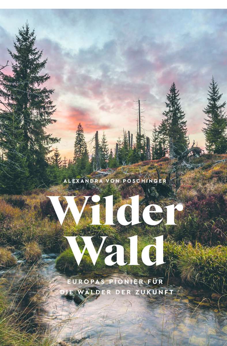 Alexandra von Poschinger/Rainer Simonis: Wilder Wald. Knesebeck Verlag, 220 Seiten 40 Euro.