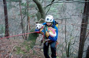 Bergwacht rettet abgestürzten Hund