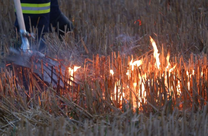Feuerpatschen sollen Waldarbeiter schützen
