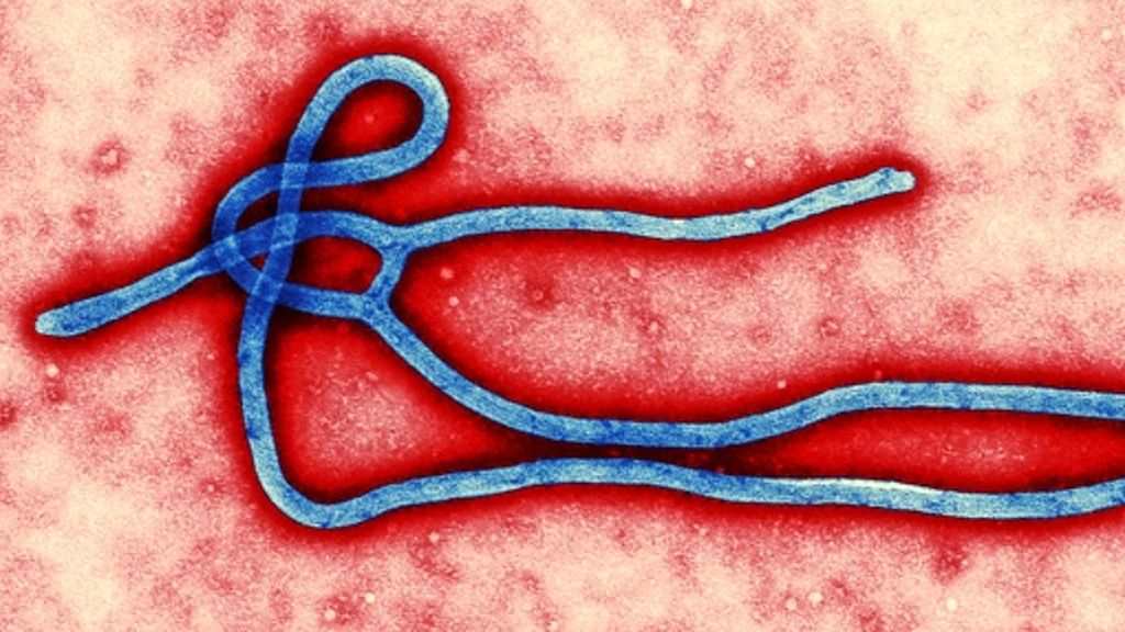 Epidemie: Ebola breitet sich in Afrika aus