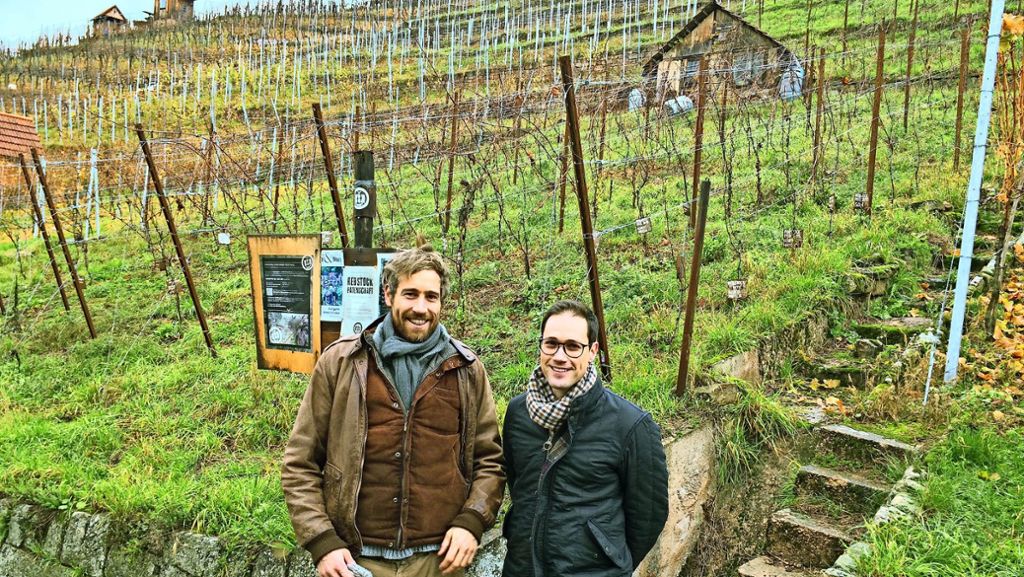 Weinbau 2.0 in Stuttgart: Erntehilfe im neuen Gewand