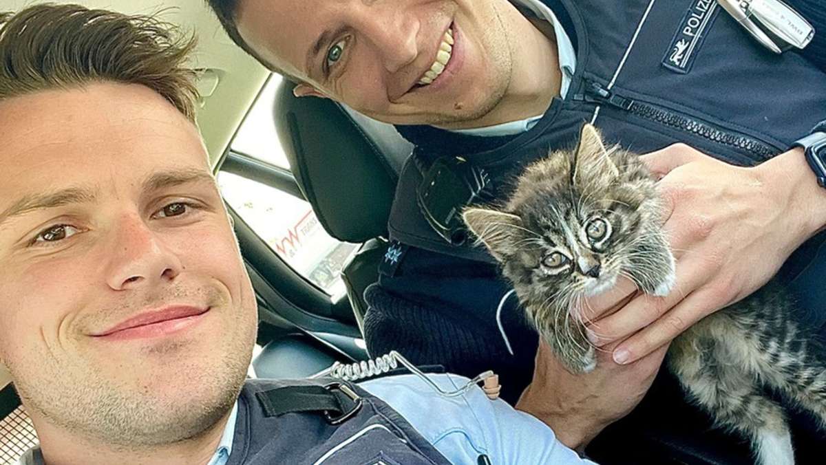 A5 bei Achern: Polizei rettet Katzenbaby von Autobahn