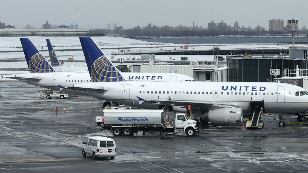 United Airlines: Hund fliegt nach Japan statt nach Kansas