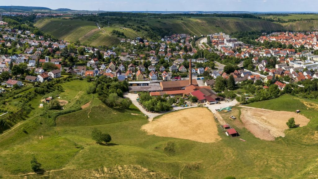 Ärger um die Lehmgrube in Besigheim: Keine Bauarbeiten wegen Wildbienen