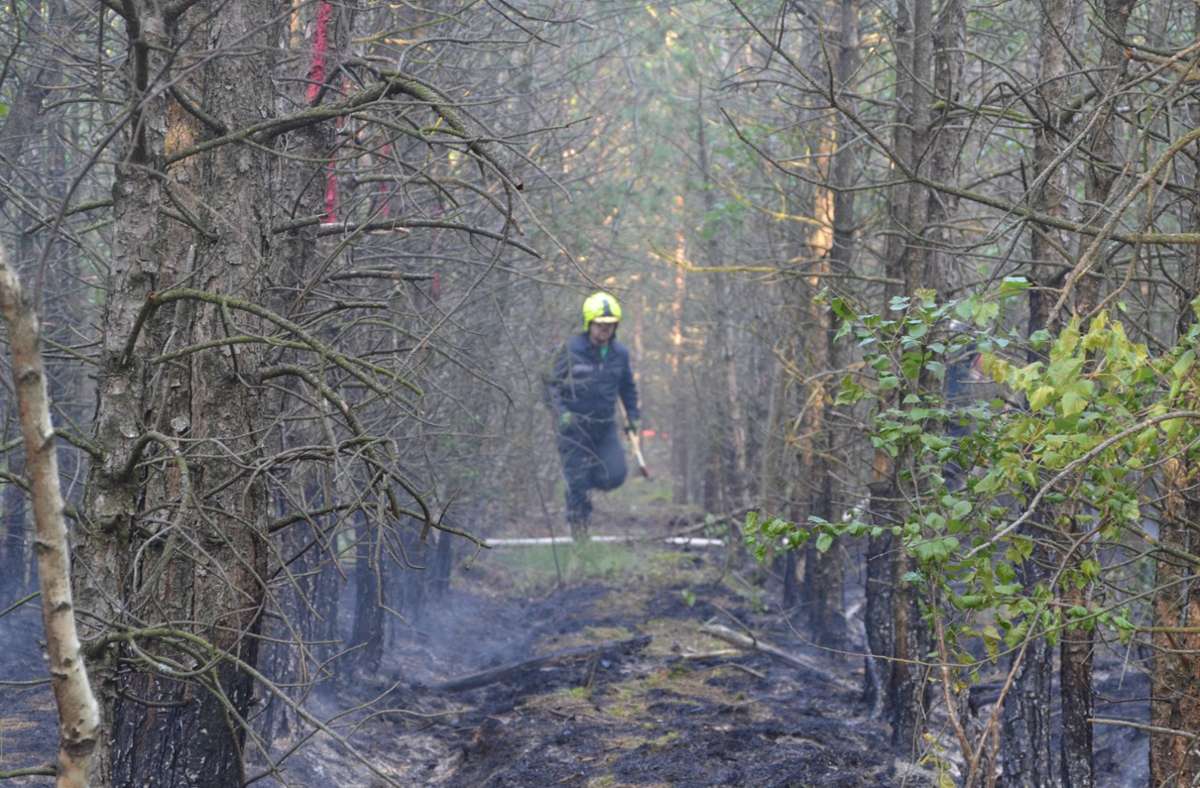 Auch in diesem Juli gab es Waldbrände – etwa wie hier in der Lausitz. Schon in den 70er Jahren wurden hier Kesselwaggons in der Erde versenkt, um im Fall der Fälle Wasser für einen möglichen Waldbrand bereit zustellen. Das hilft der Feuerwehr heute, die Brände schnell zu löschen.