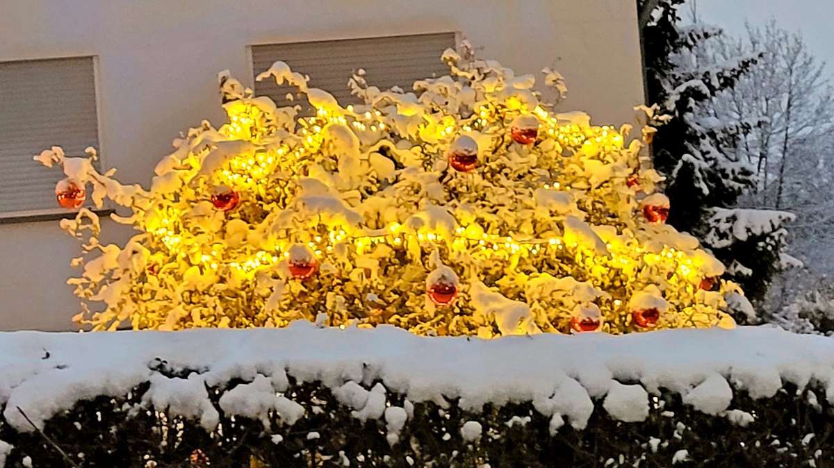 Yvonne Lauber hat in ihrem Garten in Böblingen einen Busch mit roten Kugeln und Lichterkette behangen. Der Schnee ist das Sahnehäubchen.