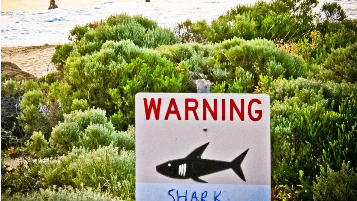 Australien: Surfer stirbt nach Hai-Angriff