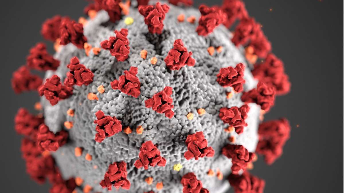Coronavirus: G7-Länder fordern neue WHO-Studie zu Corona-Ursprung
