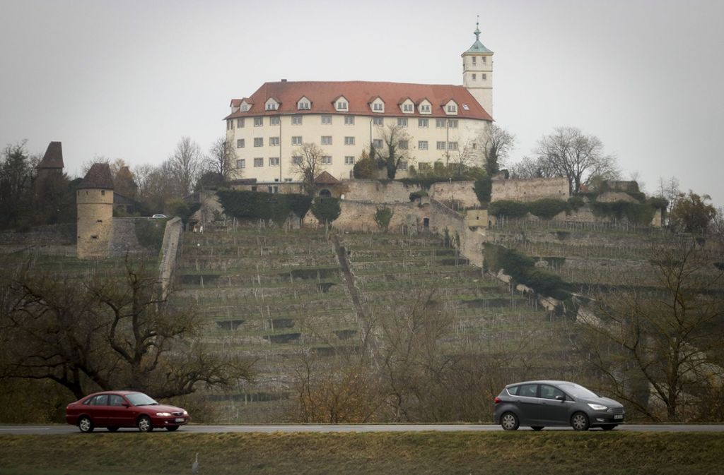 So kennt man Schloss Kaltenstein: von Weinreben gesäumt thront das Gebäude als Wahrzeichen über der Stadt.